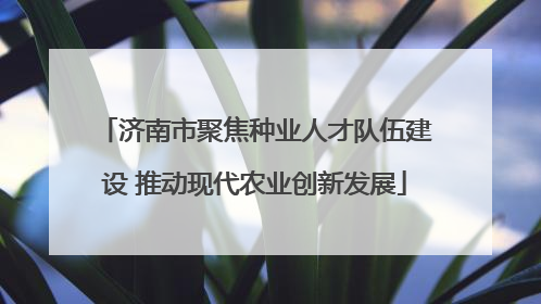 济南市聚焦种业人才队伍建设 推动现代农业创新发展