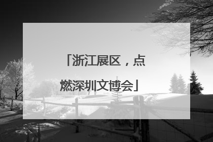 浙江展区，点燃深圳文博会