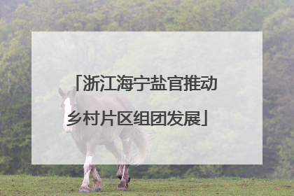 浙江海宁盐官推动乡村片区组团发展