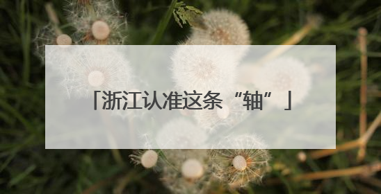 浙江认准这条“轴”