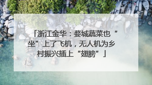 浙江金华：婺城蔬菜也“坐”上了飞机，无人机为乡村振兴插上“翅膀”
