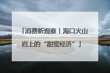 消费新观察丨海口火山岩上的“甜蜜经济”