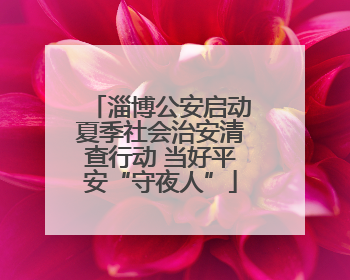 淄博公安启动夏季社会治安清查行动 当好平安“守夜人”
