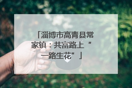 淄博市高青县常家镇：共富路上“一路生花”