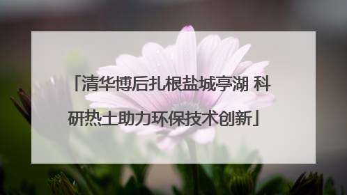 清华博后扎根盐城亭湖 科研热土助力环保技术创新