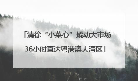 清徐“小菜心”撬动大市场 36小时直达粤港澳大湾区