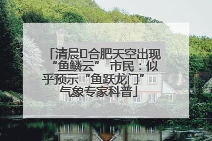 清晨﻿合肥天空出现“鱼鳞云” 市民：似乎预示“鱼跃龙门” 气象专家科普