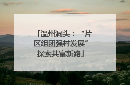 温州洞头：“片区组团强村发展”探索共富新路