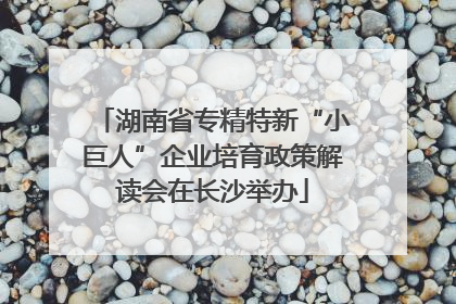 湖南省专精特新“小巨人”企业培育政策解读会在长沙举办