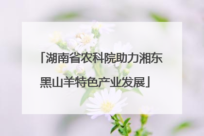 湖南省农科院助力湘东黑山羊特色产业发展