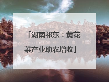 湖南祁东：黄花菜产业助农增收