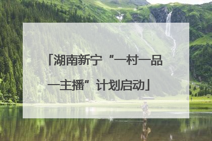 湖南新宁“一村一品一主播”计划启动
