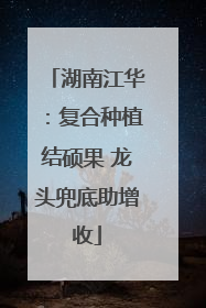 湖南江华：复合种植结硕果 龙头兜底助增收