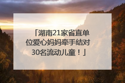湖南21家省直单位爱心妈妈牵手结对30名流动儿童！