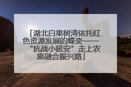 湖北白果树湾依托红色资源发展的蝶变——“抗战小延安”走上农旅融合振兴路