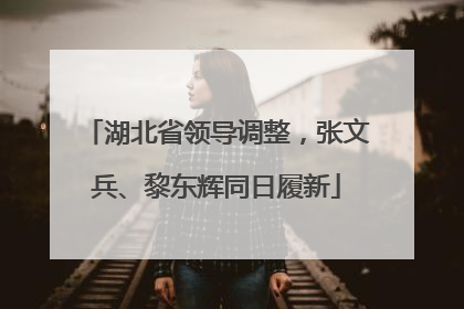湖北省领导调整，张文兵、黎东辉同日履新