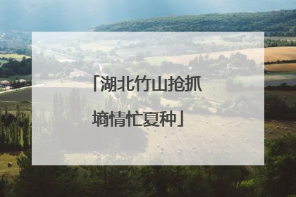 湖北竹山抢抓墒情忙夏种