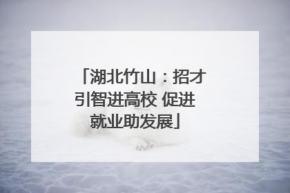 湖北竹山：招才引智进高校 促进就业助发展