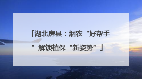 湖北房县：烟农“好帮手”解锁植保“新姿势”