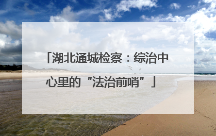 湖北通城检察：综治中心里的“法治前哨”