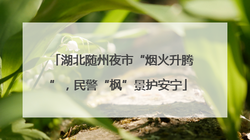 湖北随州夜市“烟火升腾”，民警“枫”景护安宁