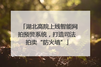 湖北高院上线智能网拍预警系统，打造司法拍卖“防火墙”