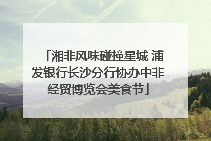 湘非风味碰撞星城 浦发银行长沙分行协办中非经贸博览会美食节