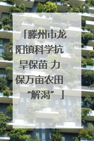 滕州市龙阳镇科学抗旱保苗 力保万亩农田“解渴”