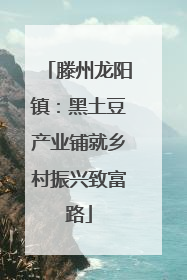 滕州龙阳镇：黑土豆产业铺就乡村振兴致富路
