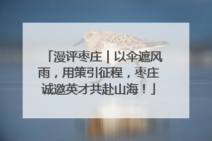 漫评枣庄｜以伞遮风雨，用策引征程，枣庄诚邀英才共赴山海！