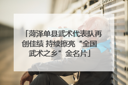 菏泽单县武术代表队再创佳绩 持续擦亮“全国武术之乡”金名片