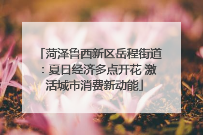 菏泽鲁西新区岳程街道：夏日经济多点开花 激活城市消费新动能