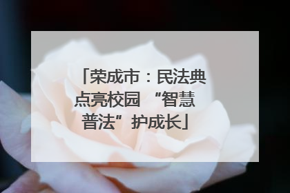 荣成市：民法典点亮校园 “智慧普法”护成长