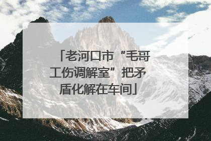 老河口市“毛哥工伤调解室”把矛盾化解在车间