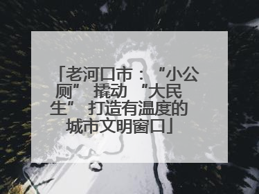 老河口市：“小公厕” 撬动 “大民生” 打造有温度的城市文明窗口