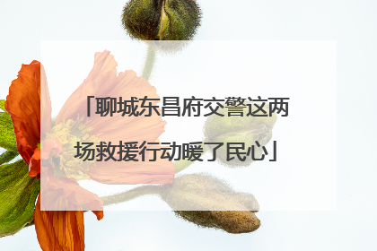 聊城东昌府交警这两场救援行动暖了民心