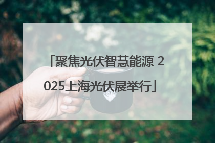 聚焦光伏智慧能源 2025上海光伏展举行