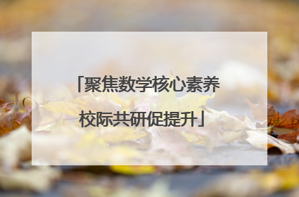 聚焦数学核心素养 校际共研促提升