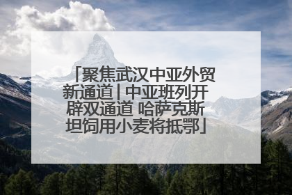 聚焦武汉中亚外贸新通道│中亚班列开辟双通道 哈萨克斯坦饲用小麦将抵鄂