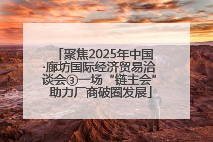 聚焦2025年中国·廊坊国际经济贸易洽谈会③一场“链主会” 助力厂商破圈发展