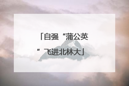 自强“蒲公英”飞进北林大