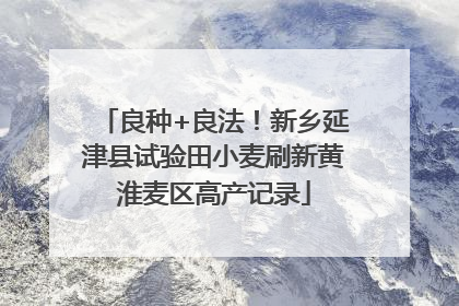 良种+良法！新乡延津县试验田小麦刷新黄淮麦区高产记录