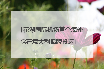 花湖国际机场首个海外仓在意大利揭牌投运