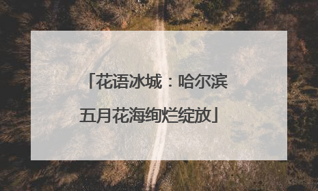 花语冰城：哈尔滨五月花海绚烂绽放