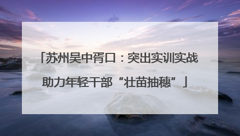 苏州吴中胥口：突出实训实战 助力年轻干部“壮苗抽穗”