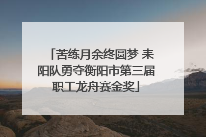 苦练月余终圆梦 耒阳队勇夺衡阳市第三届职工龙舟赛金奖