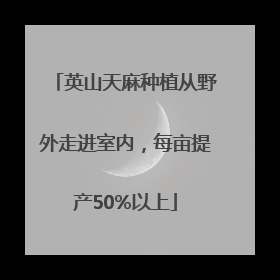 英山天麻种植从野外走进室内，每亩提产50%以上
