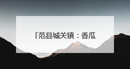 范县城关镇：香瓜丰收季，奏响乡村振兴 “甜蜜乐章”