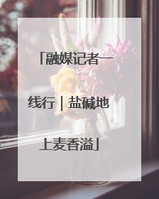 融媒记者一线行｜盐碱地上麦香溢