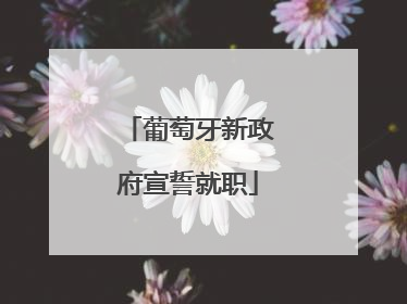 葡萄牙新政府宣誓就职